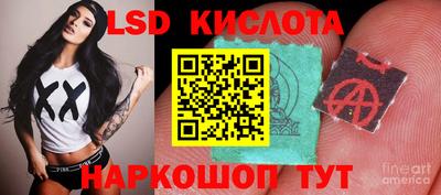 гидропоника Гатчина