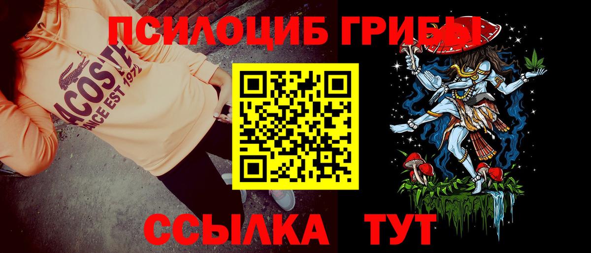 Галлюциногенные грибы Psilocybe  Вход с VPN  Миасс 